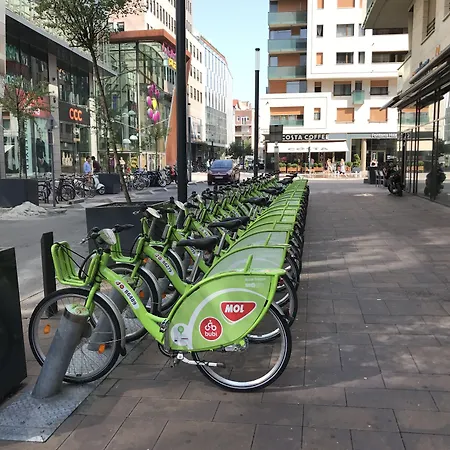 Apartment Corvin Rose